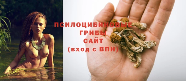 СК Новокубанск
