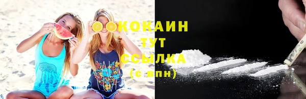 ECSTASY Галич