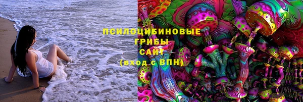 мдма Новодвинск